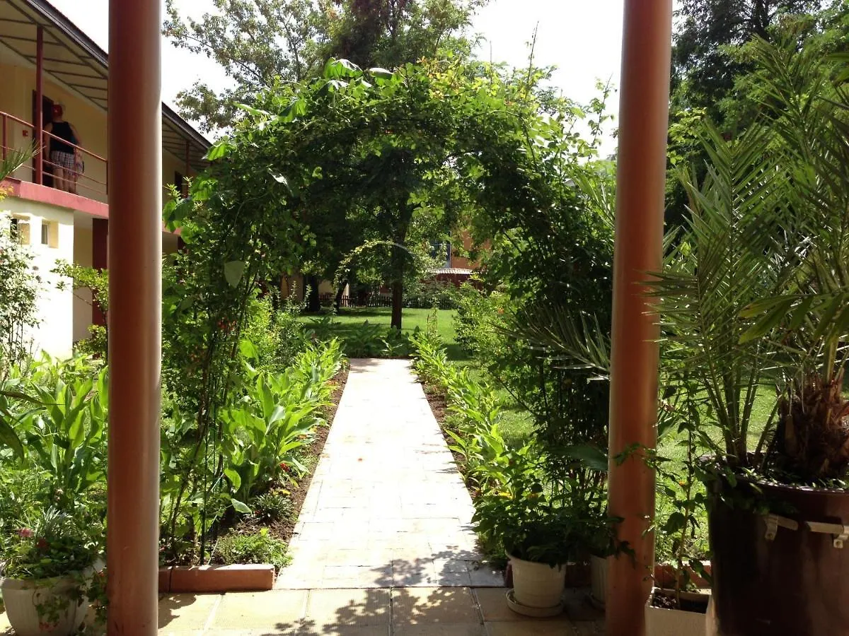 Jupiter Hotel ساني بيتش